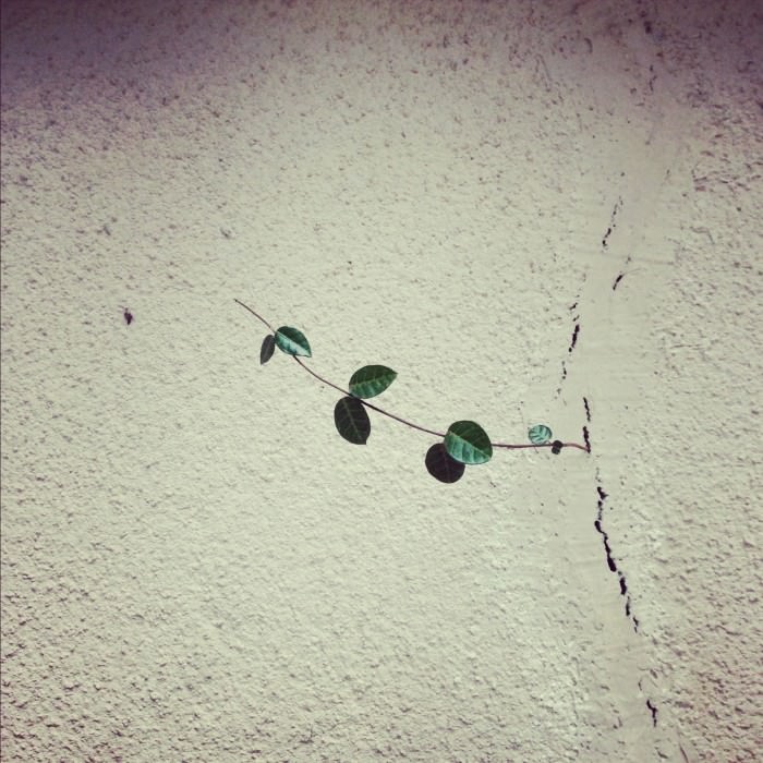 y2_年末のご挨拶