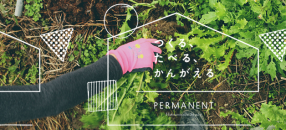 手作りマヨネーズ・ドレッシング