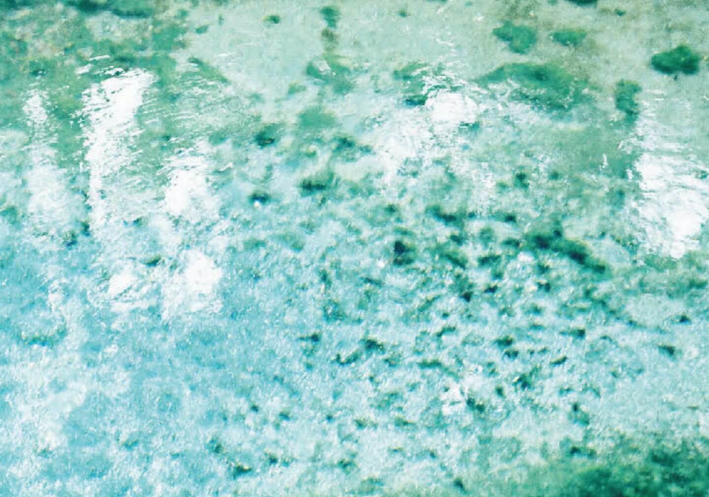 山村光春さんと「ウェブを編集する、ということ」に登壇しました。